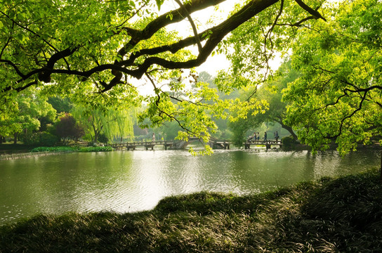 杭州西湖风光