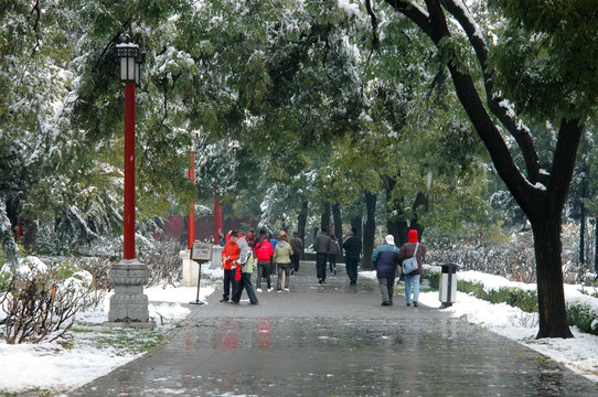 景山公園雪景