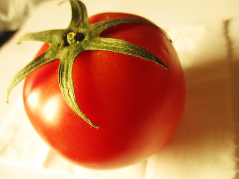 番茄特写摄影 一个番茄