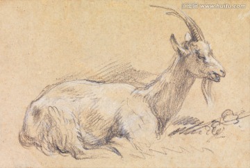 古老的動物素描手稿
