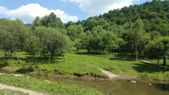 草原牧场