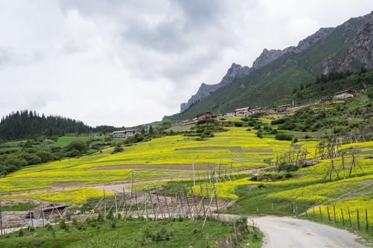 扎尕那景区 扎尕那村