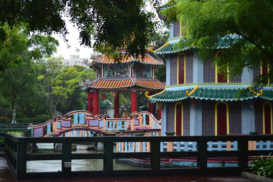 雨中小景