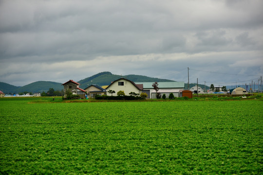 北海道乡村