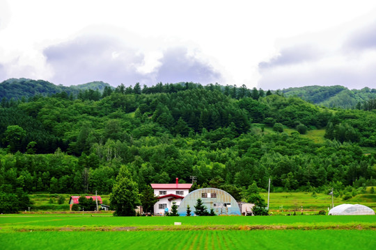 北海道乡村农舍