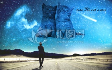 夢幻星空之小貓咪