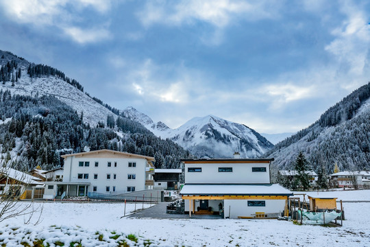 雪山 村庄 森林