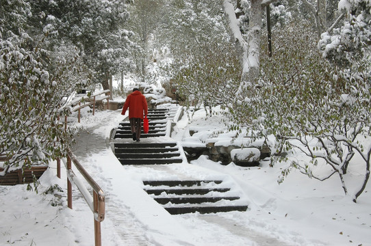 景山公园雪景