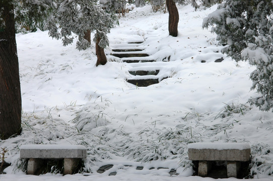 景山公园雪景