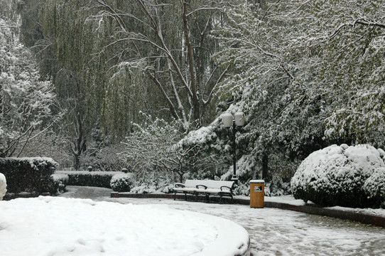 皇城根公园雪景