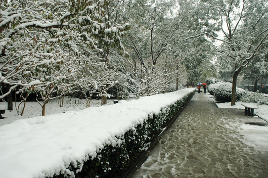 北京街头雪景