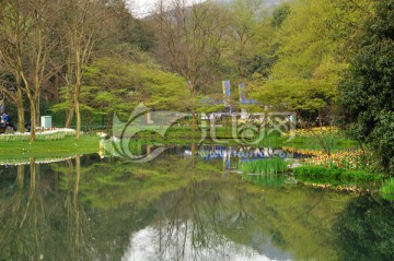 杭州太子湾风光