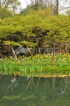 杭州太子湾风光