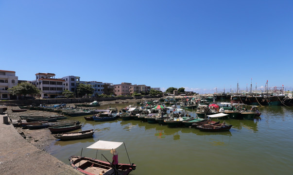 阳西 河北渔港
