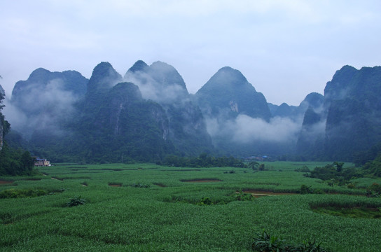 雾景 晨雾