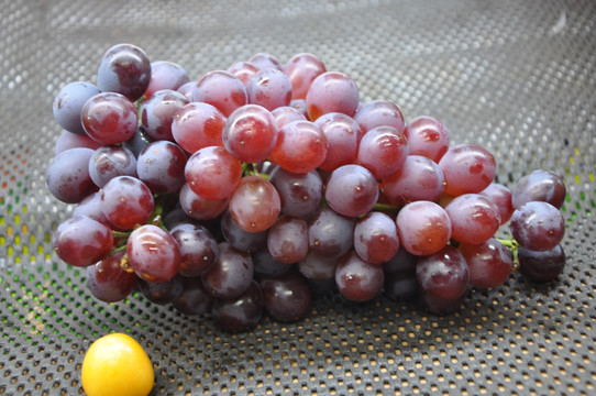 葡萄 水果 果实