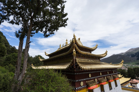 郎木寺 龙头 脊兽 金顶