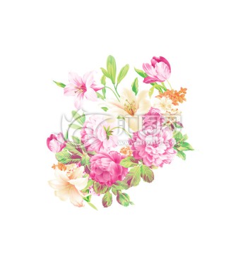 花卉 花團錦簇 牡丹