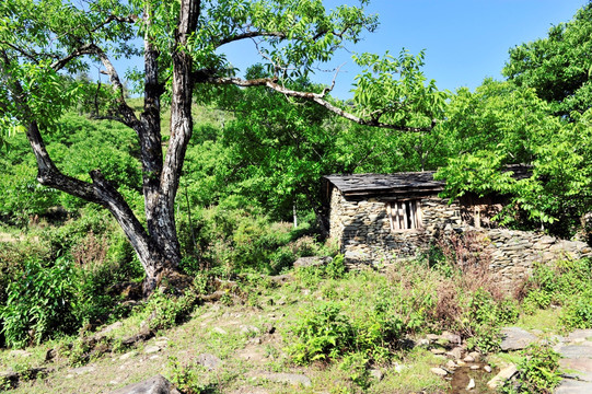 凤庆 古墨村