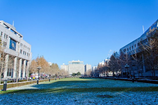 北京大学