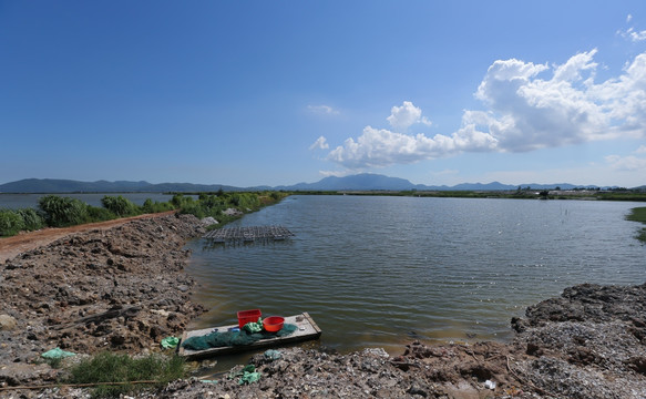 阳西 蚝乡 红木山村