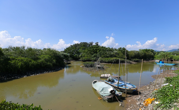 阳西 蚝乡 红木山村