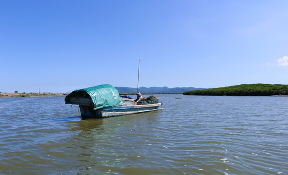 阳西 蚝乡 红木山村