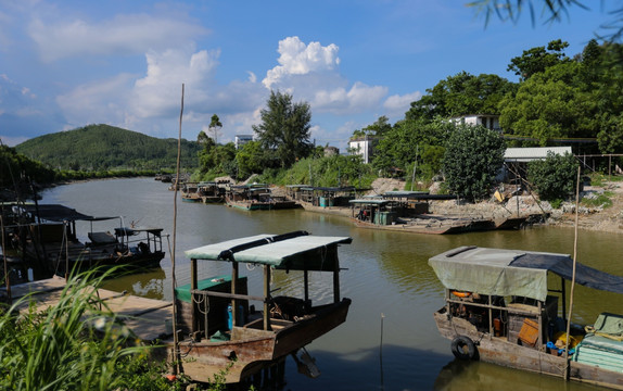 阳西 蚝乡 红木山村