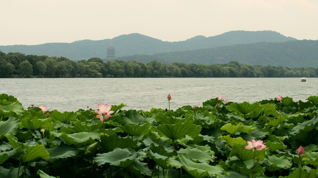 杭州西湖