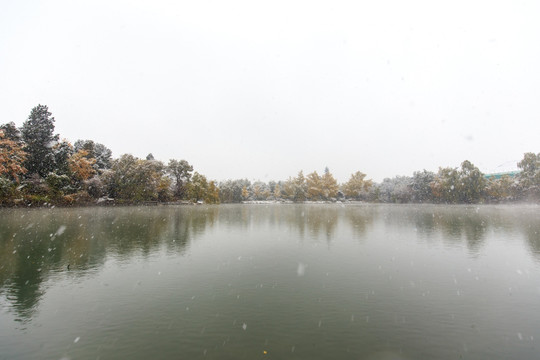 北大校园风光未名湖博雅塔雪景