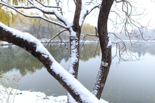 北京大学校园风光未名湖冬天雪景