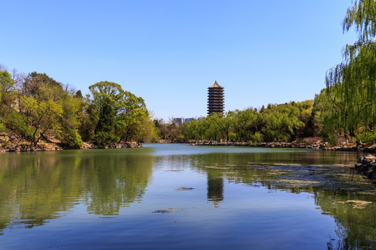 北京大学校园风光未名湖博雅塔