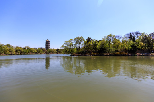 北京大学校园风光未名湖博雅塔