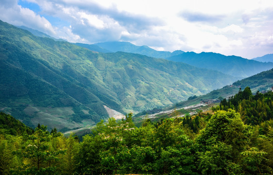 阳光山谷梯田