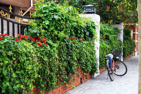 绿化 围墙 街景