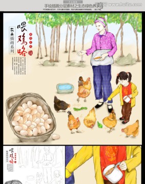 手繪散養(yǎng)雞 土雞 喂雞高清插畫