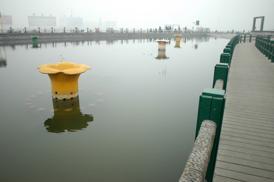 塘沽风光