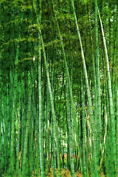 竹林风景油画
