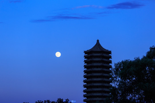 北大校园风光博雅塔夜景月亮