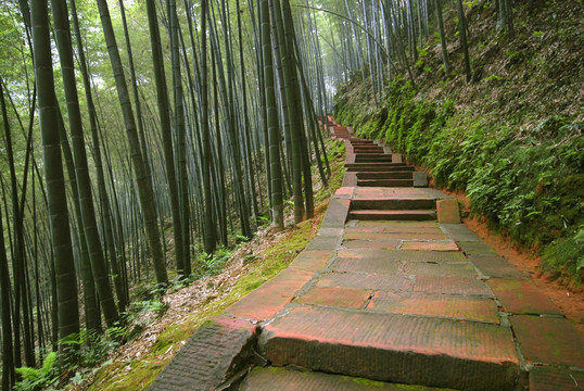 竹林 山间小路