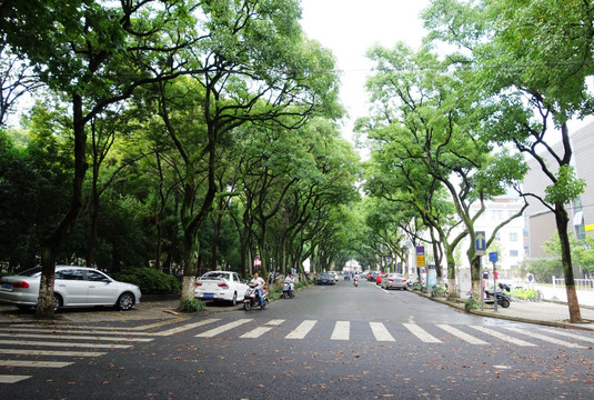 城市街景