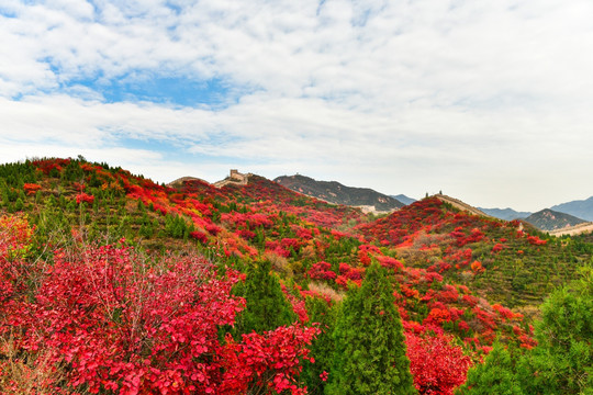 红叶岭长城