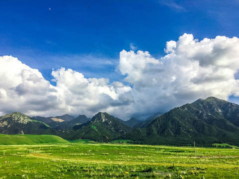 天山山脉山地草原