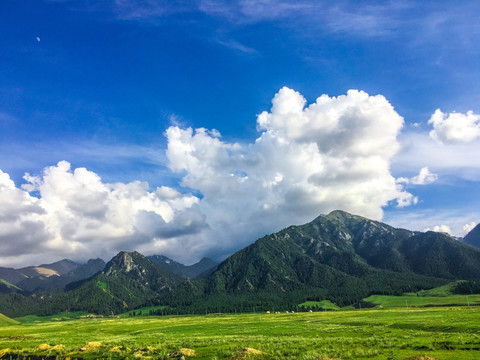 天山山脉山地草原