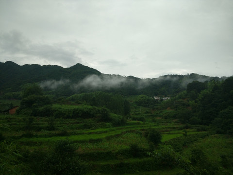 大山 山林 白云