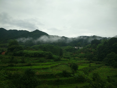 大山 山林 白云