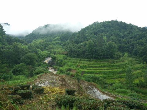 山 大山 云雾