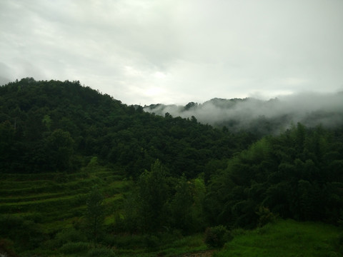 山 大山 云雾