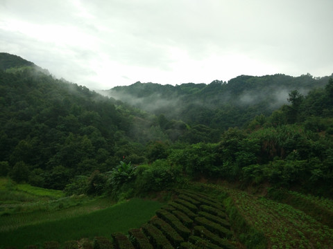 山 大山 云雾