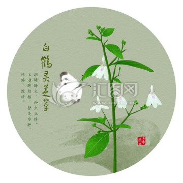 手绘白鹤灵芝草 中药包装